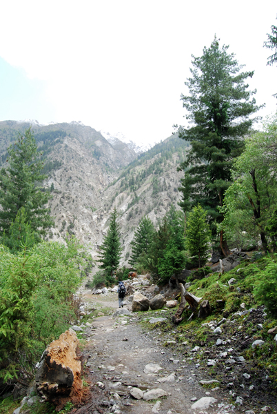 raikot road